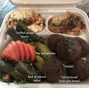 PlantBasedFatKid Plate  at Kareem's in Anaheim