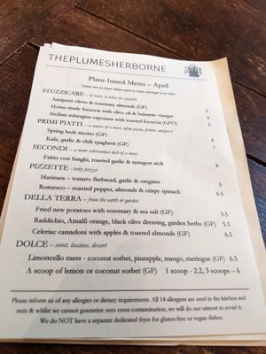 There's a separate plant based menu, lots of options. at The Plume Of Feathers in Sherborne