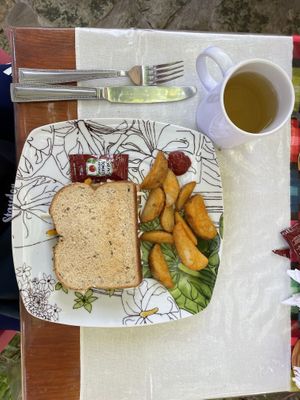 Vegetable and cheese sandwich and ginger tea  at La Tradición in Palenque