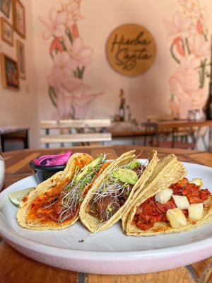 Vegan tacos  at Hierba Santa in Tuxtla Gutierrez