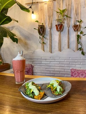 Tacos estilo gobernador de setas   at Hierba Santa in Tuxtla Gutierrez