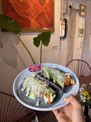 Tacos estilo gobernador de setas   at Hierba Santa in Tuxtla Gutierrez