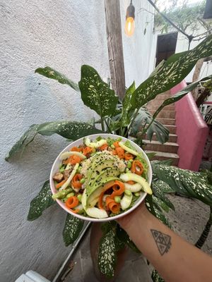 Ensalada Poke bowl   at Hierba Santa in Tuxtla Gutierrez
