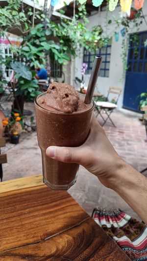 Mono araña at Hierba Santa in Tuxtla Gutierrez