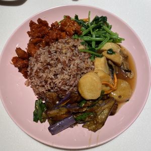 economic rice  at Jing Xin Yuan Vegetarian Food - 净心园素食 in Central Singapore
