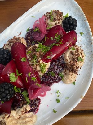   at Toms Näschtl in Landau