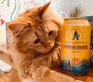 George Mashalla featuring a craft NA we carry  at Hangry Planet in San Bruno