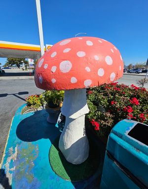Mushroom outside at Hangry Planet in San Bruno