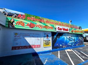 All animals deserve to be free and happy at Hangry Planet in San Bruno