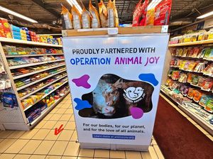 Partnered with operation animal joy at Hangry Planet in San Bruno