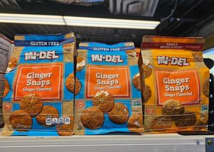 Gluten free + vegan ginger snaps at Hangry Planet in San Bruno