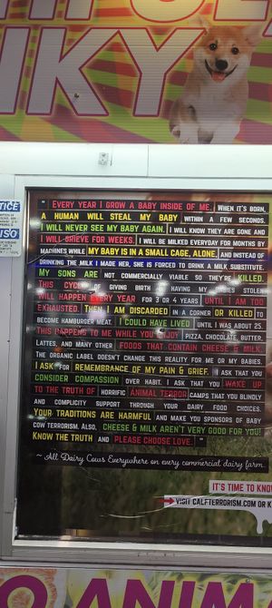  at Hangry Planet in San Bruno