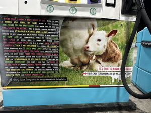   at Hangry Planet in San Bruno