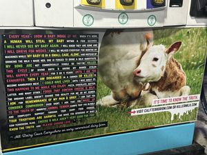   at Hangry Planet in San Bruno