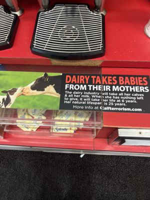   at Hangry Planet in San Bruno