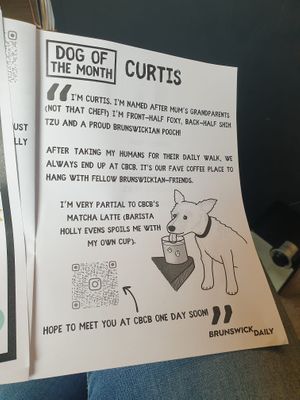 Curtis and CBCB featured in local 'Nonesense News' at CBCB & ODFUB in Brunswick