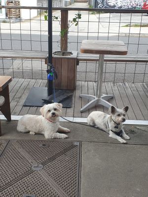 Curtis and subordinate Maxie (security detail in training) at CBCB & ODFUB in Brunswick