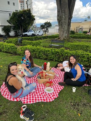 Go and Picnic with Sopitas Ask for our picnic baskets and blankets and enjoy Sopitas in the park across the street (parque Francia) at Sopitas in San Jose
