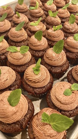 vegan/gf chocolate peppermint babycakes  at Little Rico in Hudson