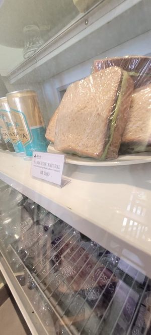 Sanduíche natural de tofu defumado at Seiva in Guaruja