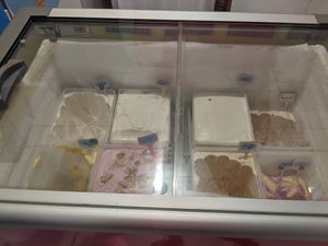 Vegan options at Kedi Artisanal Ice Cream in Maragogi