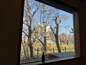 window at Rokugatsu No Shika in Morioka