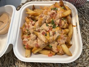 Loaded fries  at Project Pollo in Round Rock