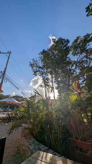 Ambiente at La Taquería in Tulum