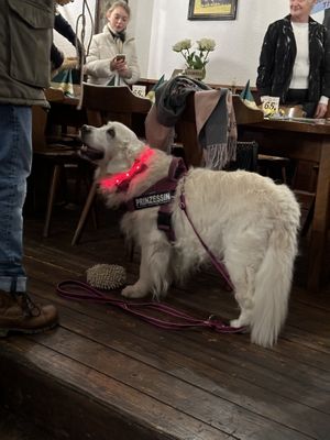   at Braugaststätte Papiermühle in Jena