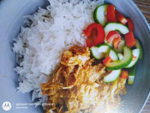 Jackfruit Rendang at De Vegan Box in Amsterdam