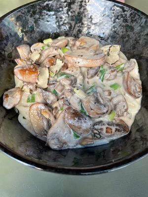 Udon noodles - truffle mushroom cream with shaved truffle at Planta Queen - Fort Lauderdale in Fort Lauderdale