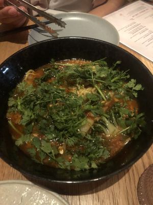 Chili peanut noodles- very spicy 🥵   at Planta Queen - Fort Lauderdale in Fort Lauderdale