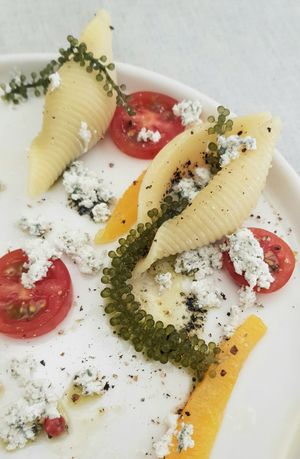 Cold Sea Pasta - close-up at JumJumJumJumJumJum - 점점점점점점 in Seoul