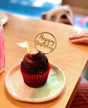 Chocolate vegan cupcake  at La Otilia - Polanco in Mexico City