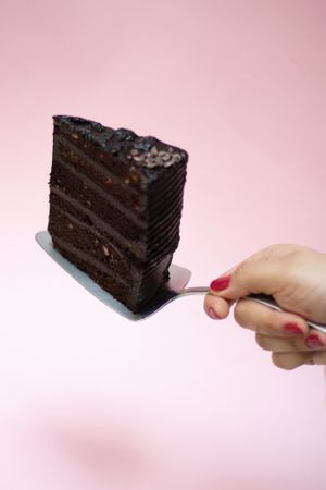 Chocolate Bruce cake  at La Otilia - Polanco in Mexico City