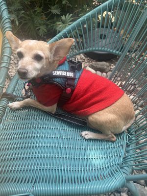   at La Otilia - Polanco in Mexico City