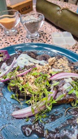 Enfrijoladas veganas at La Otilia - Polanco in Mexico City