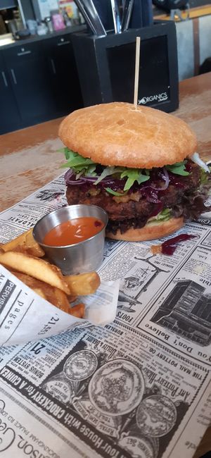 Vegan burger, chips and jamaican dip at Addicted to Rock in Vienna
