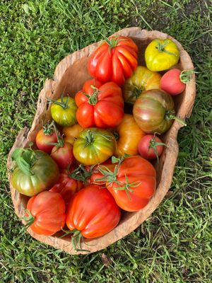  at DELI 86 in Knokke-heist