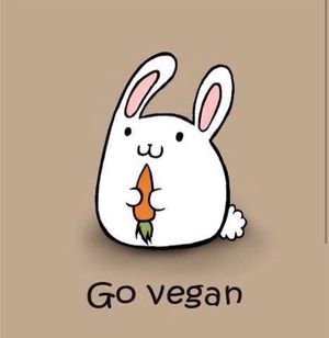  at DELI 86 in Knokke-heist