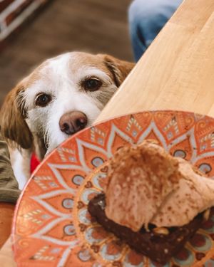 Brownie  at Veggira in Bilbao