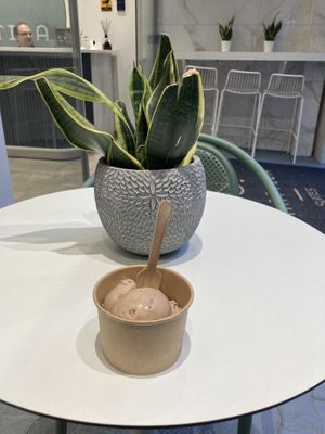 Vegan ice cream at Sugar Killer in Athens