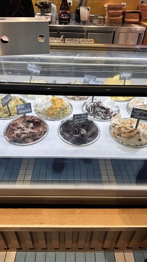   at Sugar Killer in Athens