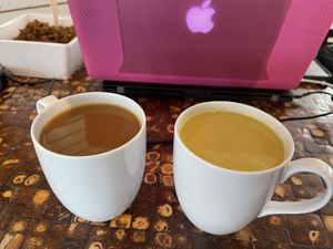 MUDWTR and Golden Sunshine drinks   at Love n Light in St Louis