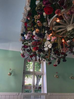  at Entrega430 X Veggiezz in Linz