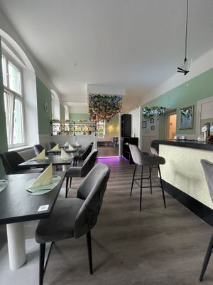   at Entrega430 X Veggiezz in Linz