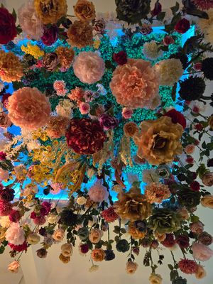  at Entrega430 X Veggiezz in Linz