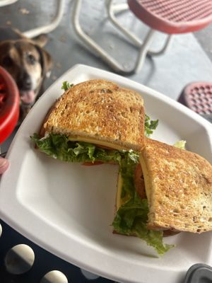 Grilled cheese with vegan provolone cheese, lettuce, tomatoes and pickles.   at Ye Ole Fashioned Ice Cream & Sandwich Cafe in Mount Pleasant