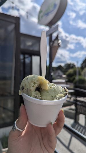  at Garden Patch by the Sea in Quincy