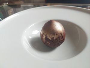 Hazelnut at BIG Sister in Nancy